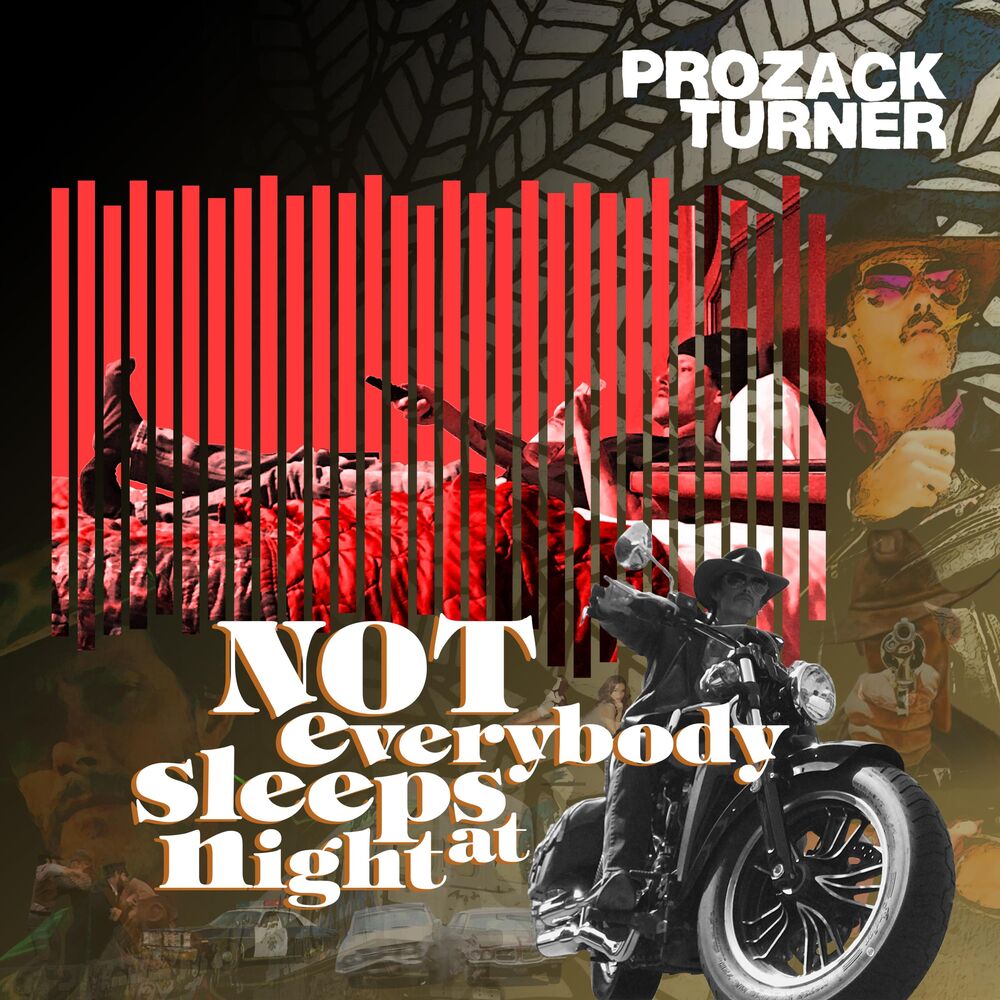 Picture of Not Everybody Sleeps at Night