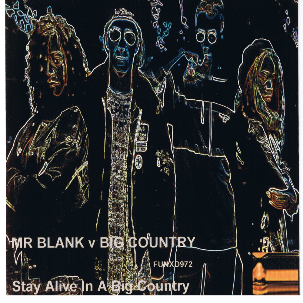 Stay Alive in a Big Country album cover