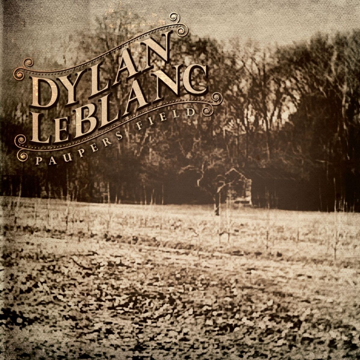 Album cover of Paupers Field