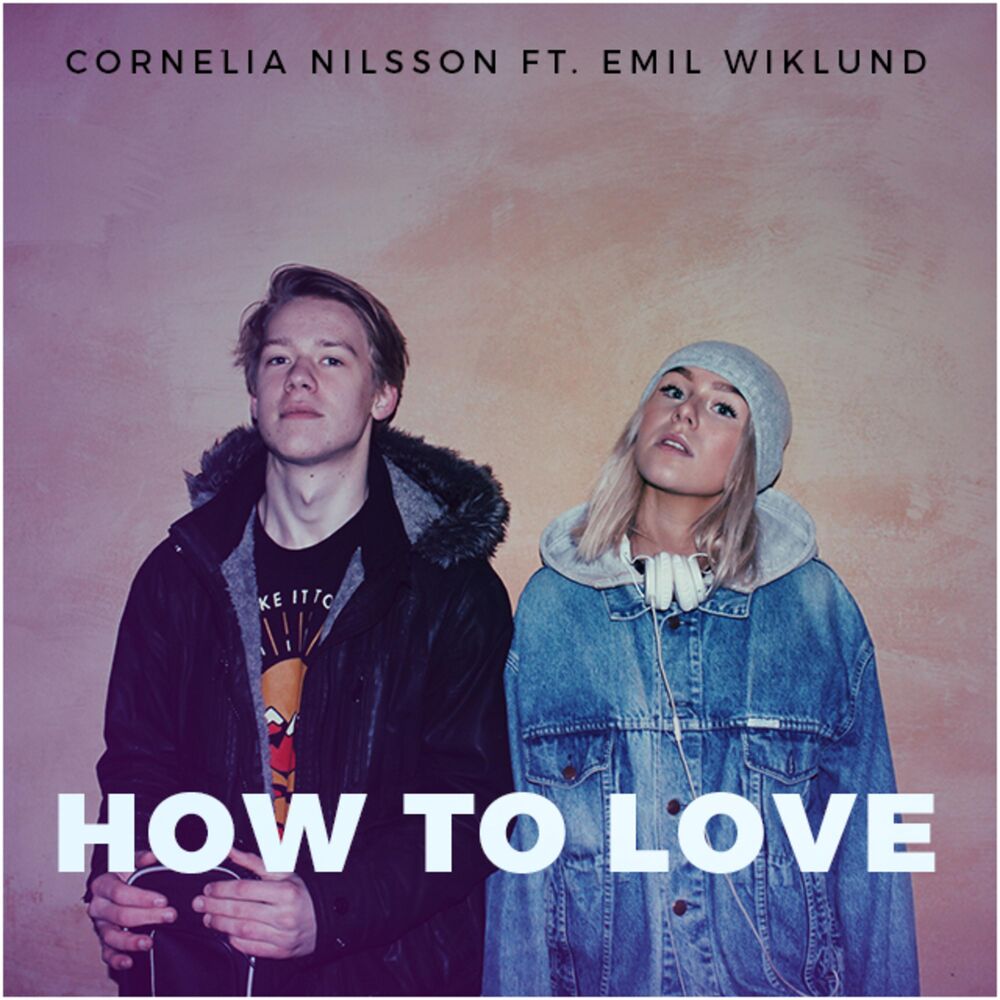 Picture of How to Love (feat. Emil Wiklund)