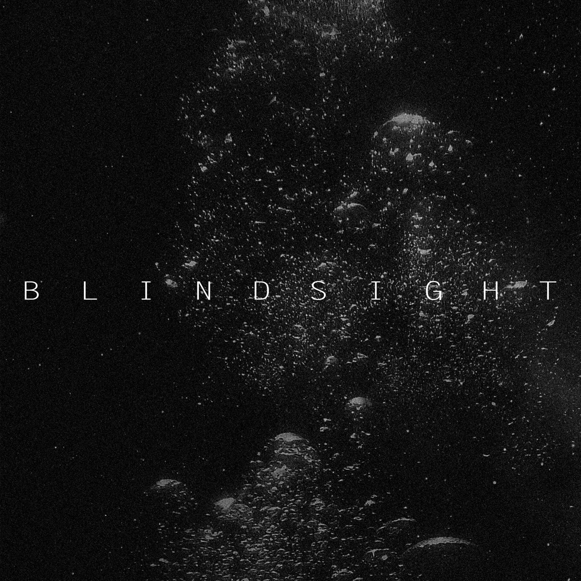 Album cover of Blindsight
