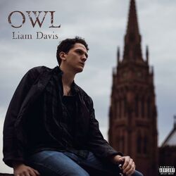 Cover of Owl