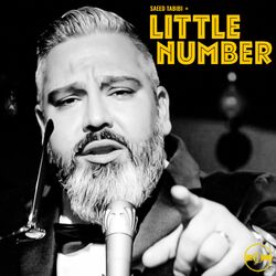 Cover of Little Number