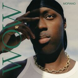 Cover of Wow