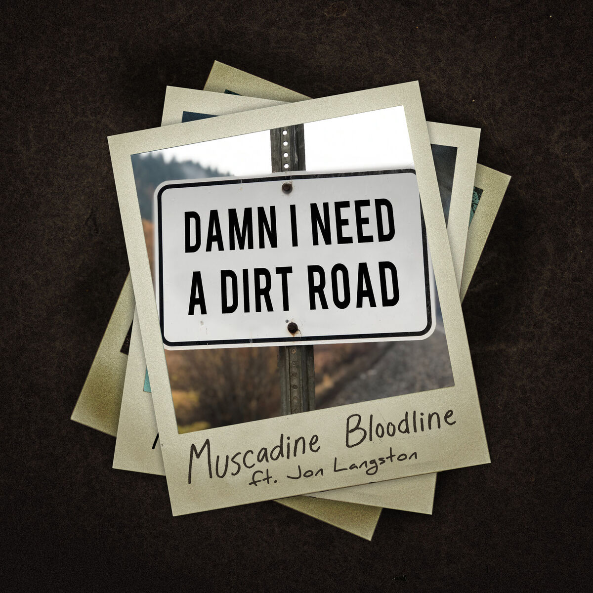 Album cover of Damn I Need a Dirt Road