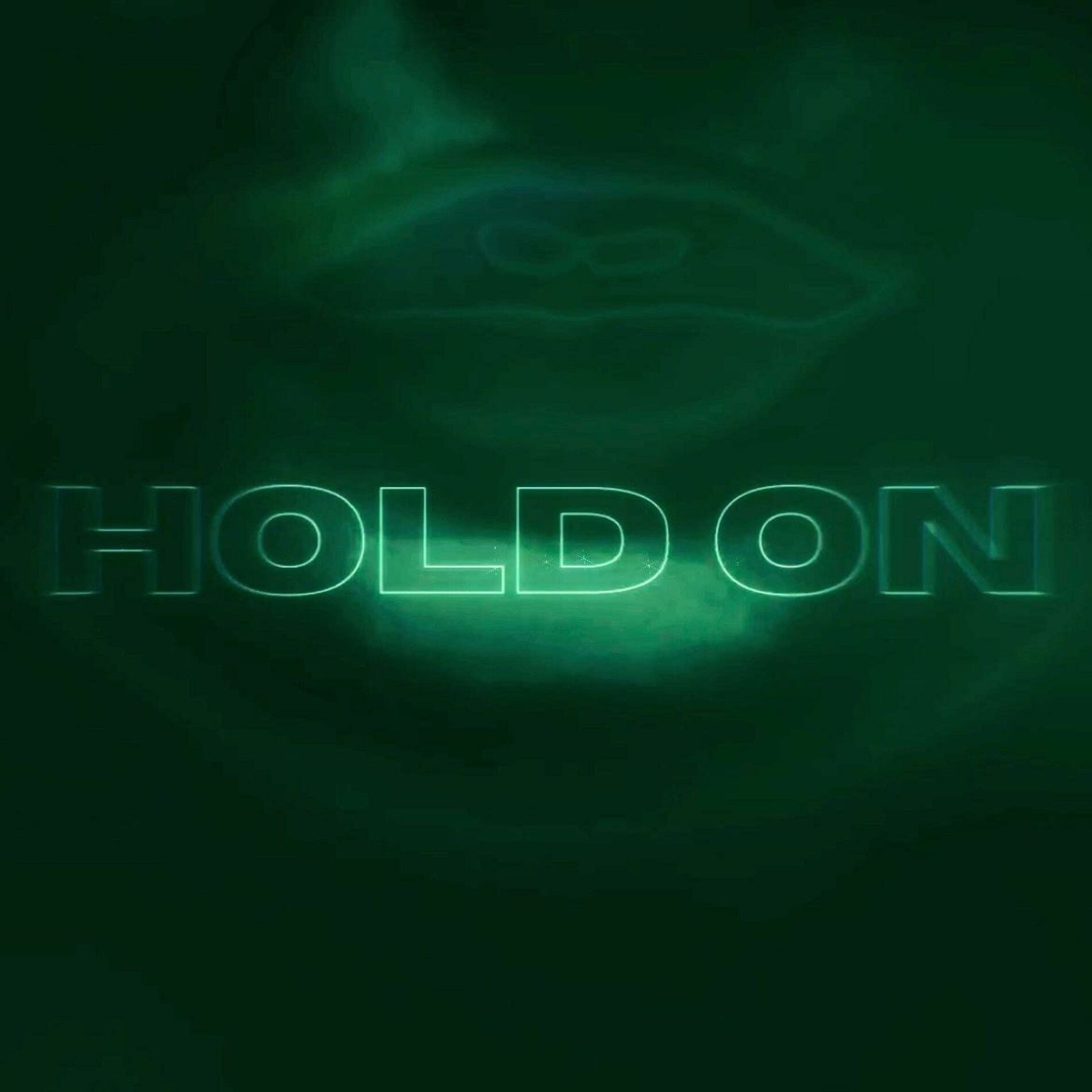 Album cover of Hold On