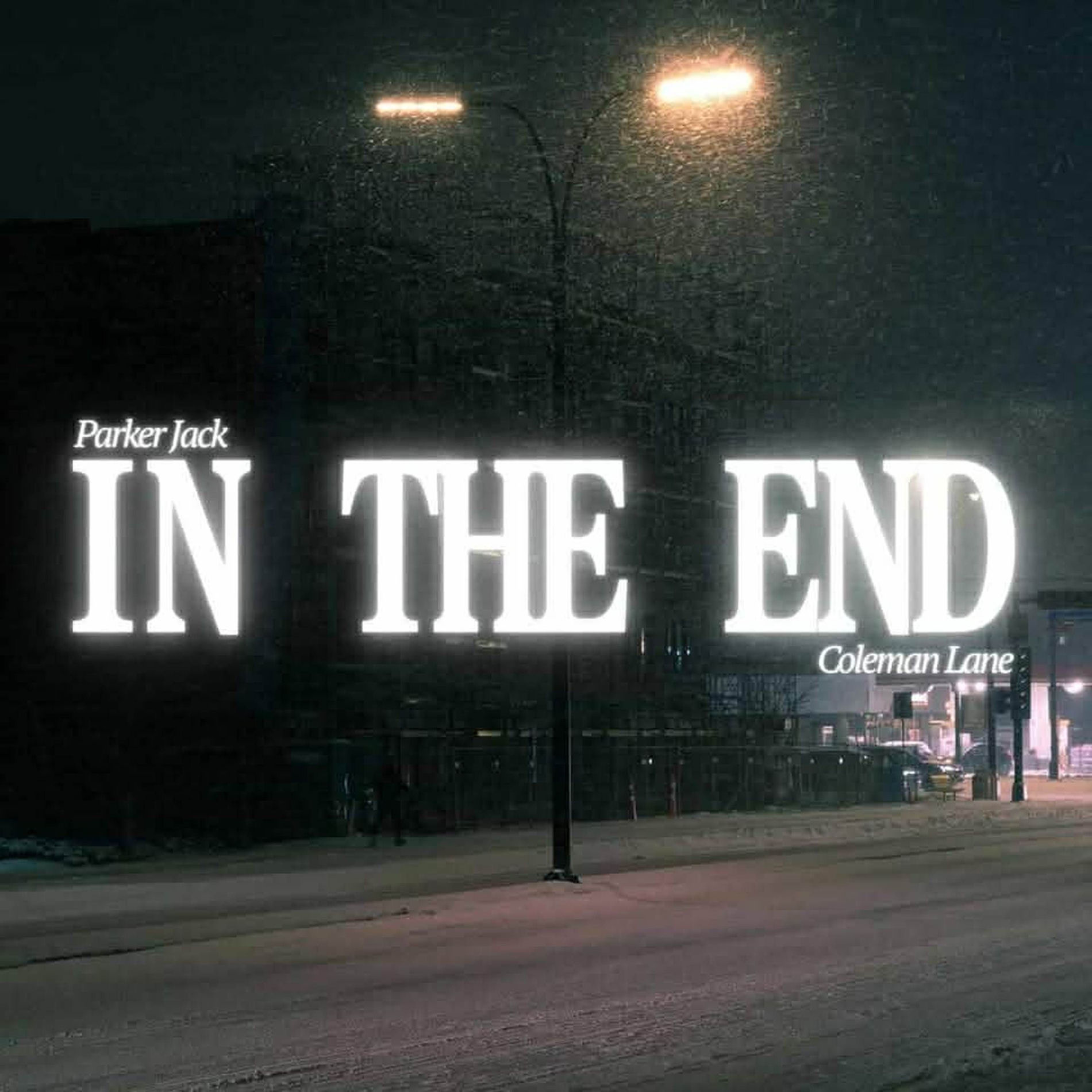 Album cover of In The End