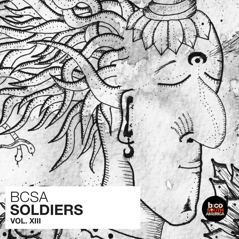 Picture of BCSA Soldiers Vol XIII