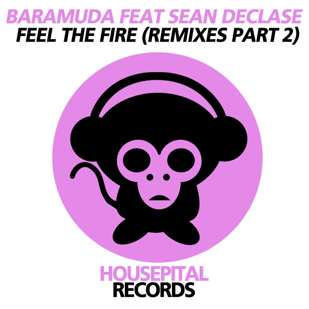 Picture of Feel the Fire (Remixes Part 2)
