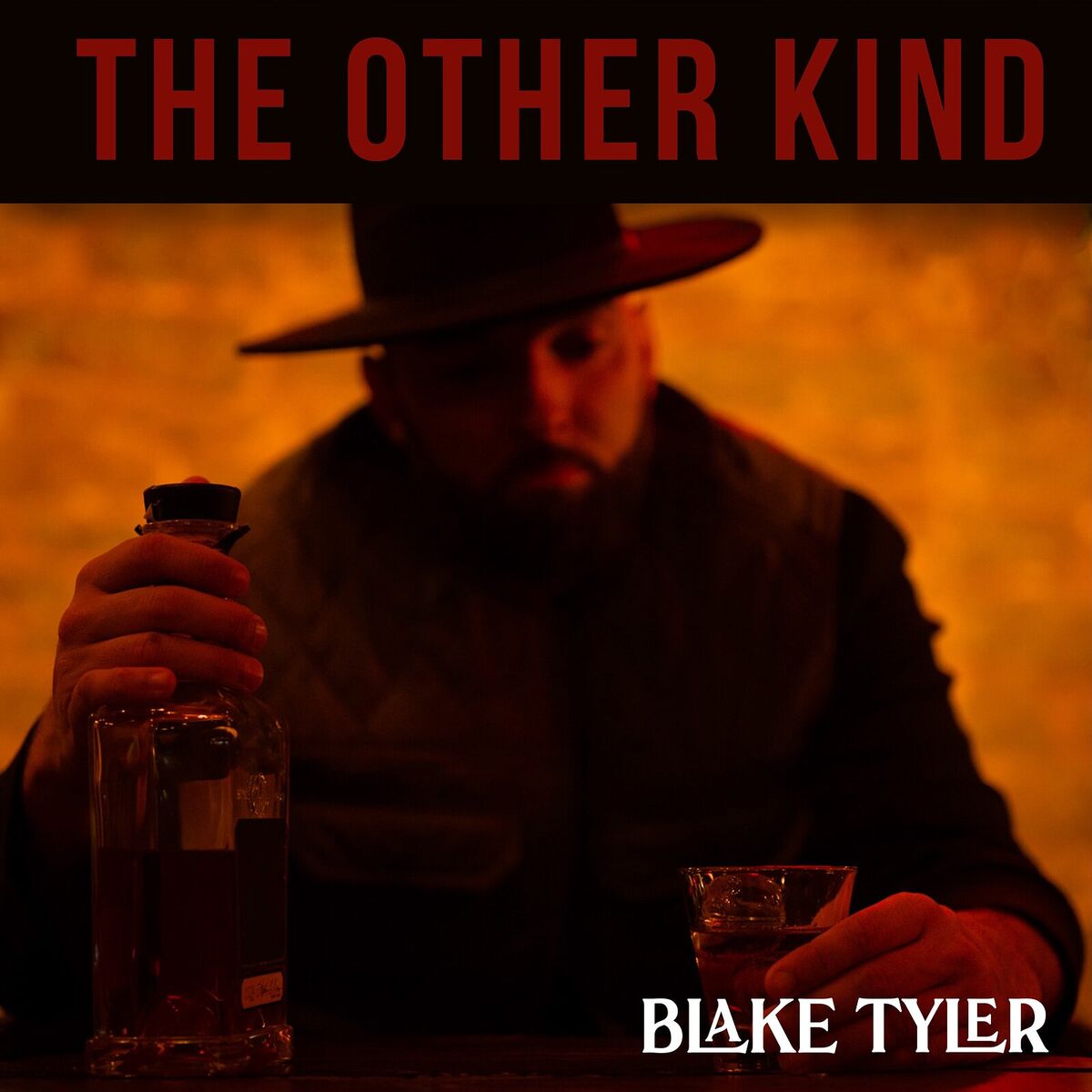 Album cover of The Other Kind