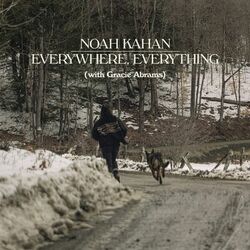 Cover of Everywhere, Everything