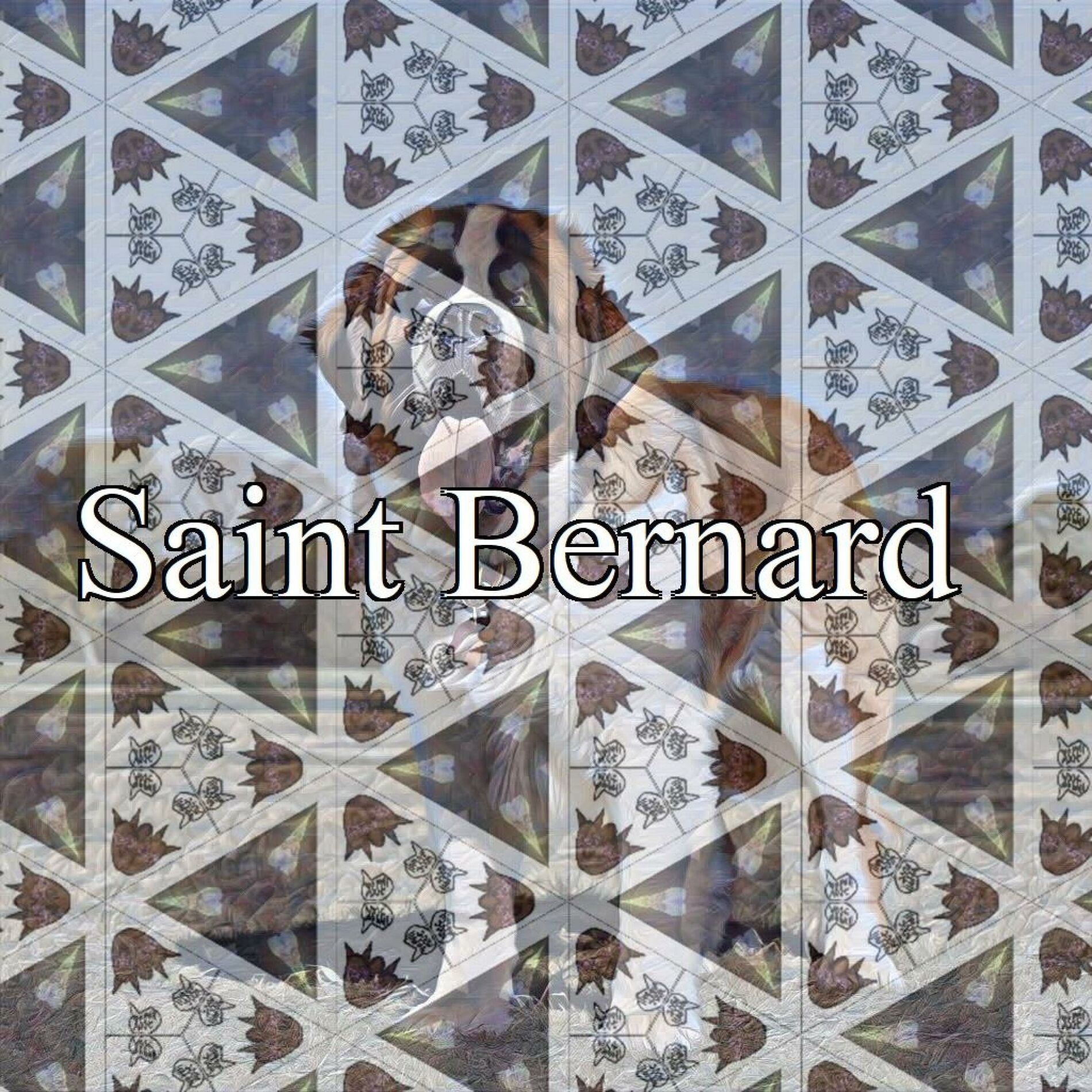 Album cover of Saint Bernard