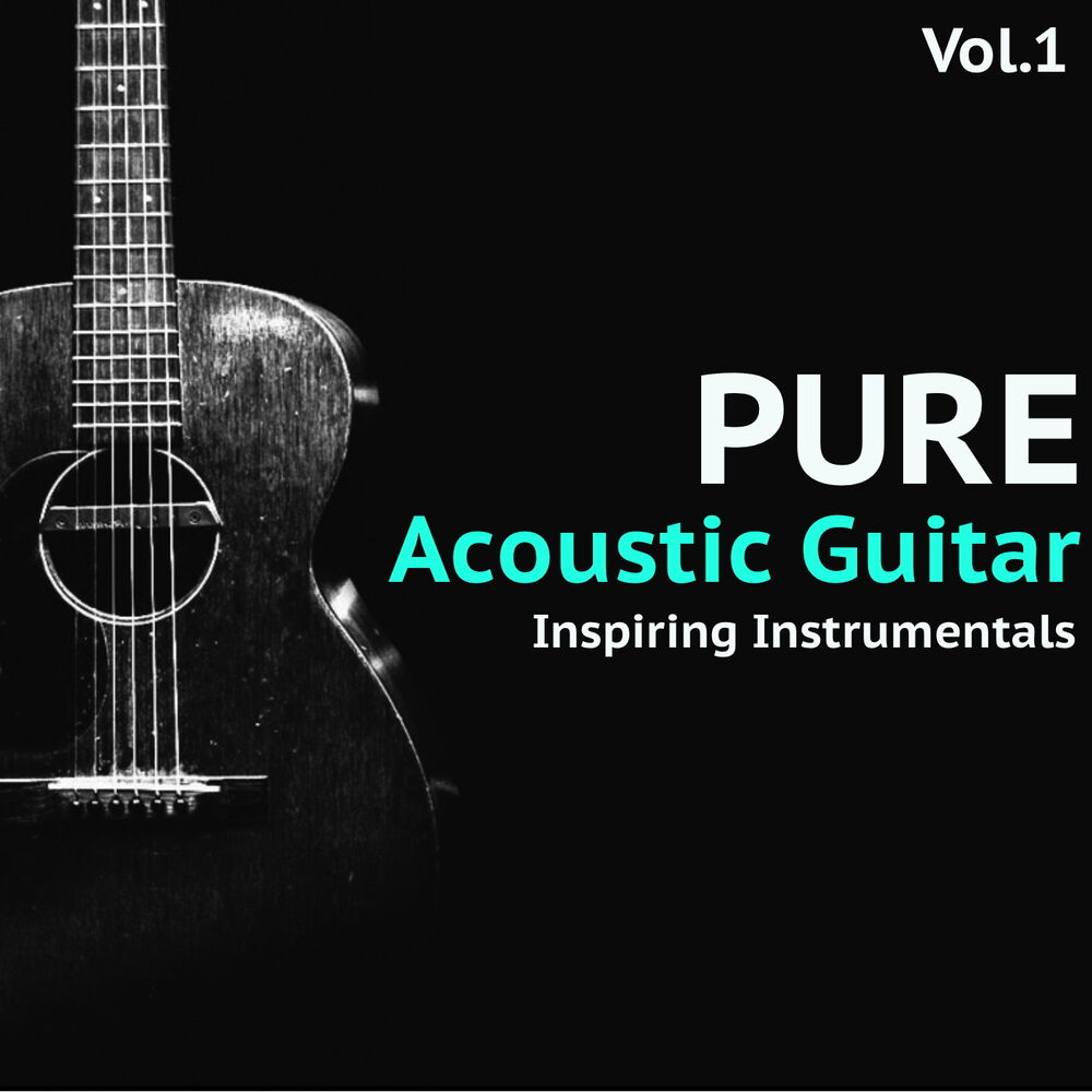 Picture of Pure Acoustic Guitar, Vol. 1