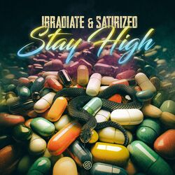 Cover of Stay High