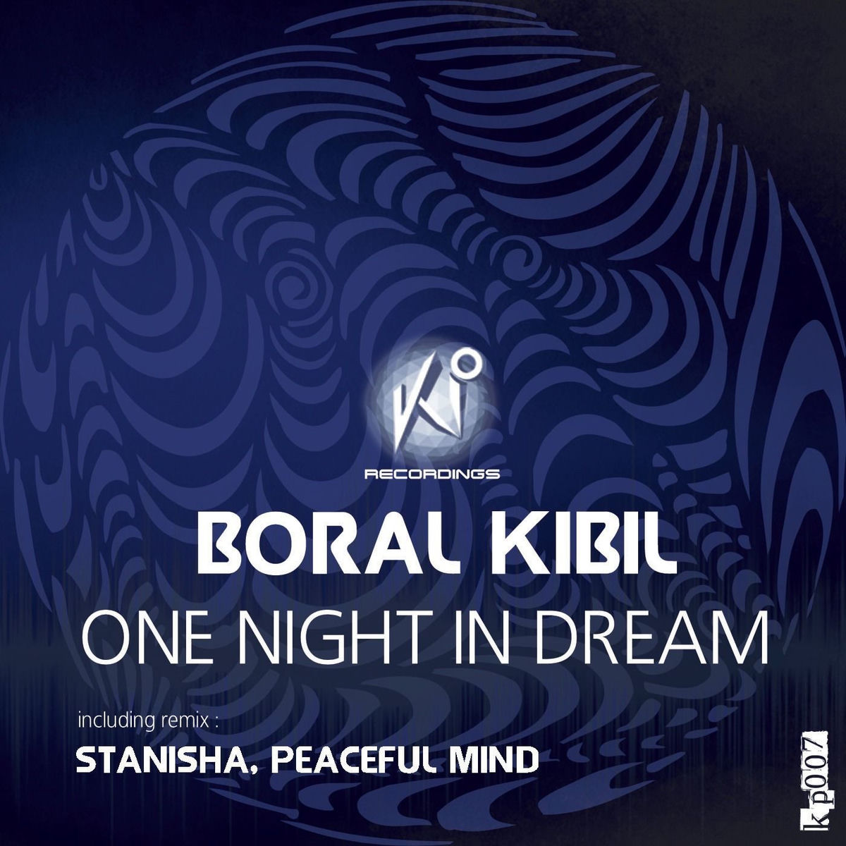Album cover of One Night In Dream