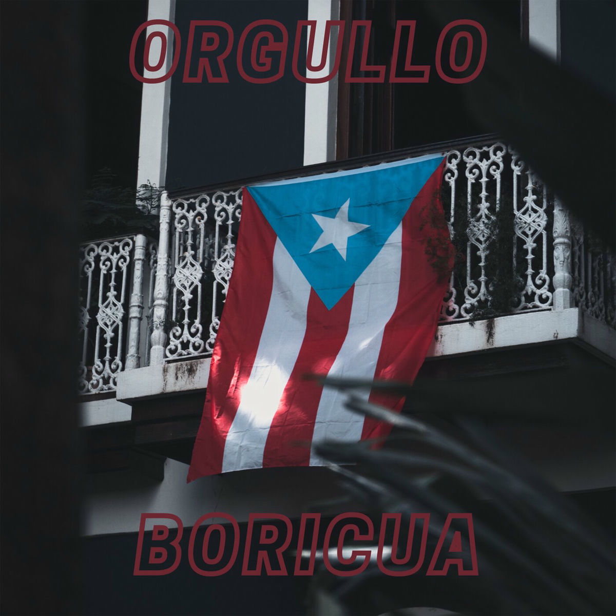 Album cover of Orgullo Boricua