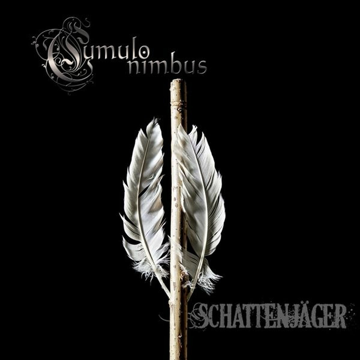 Album cover of Schattenjäger