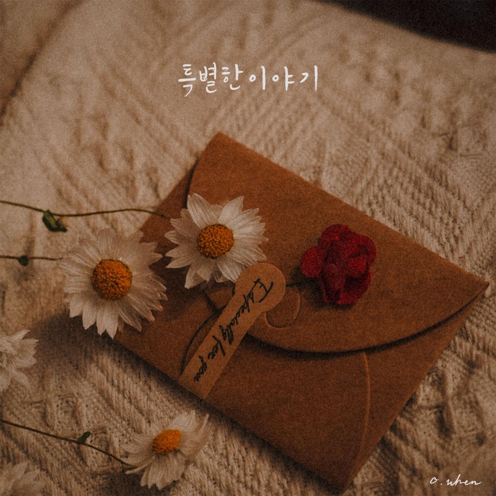 Album cover of Special story