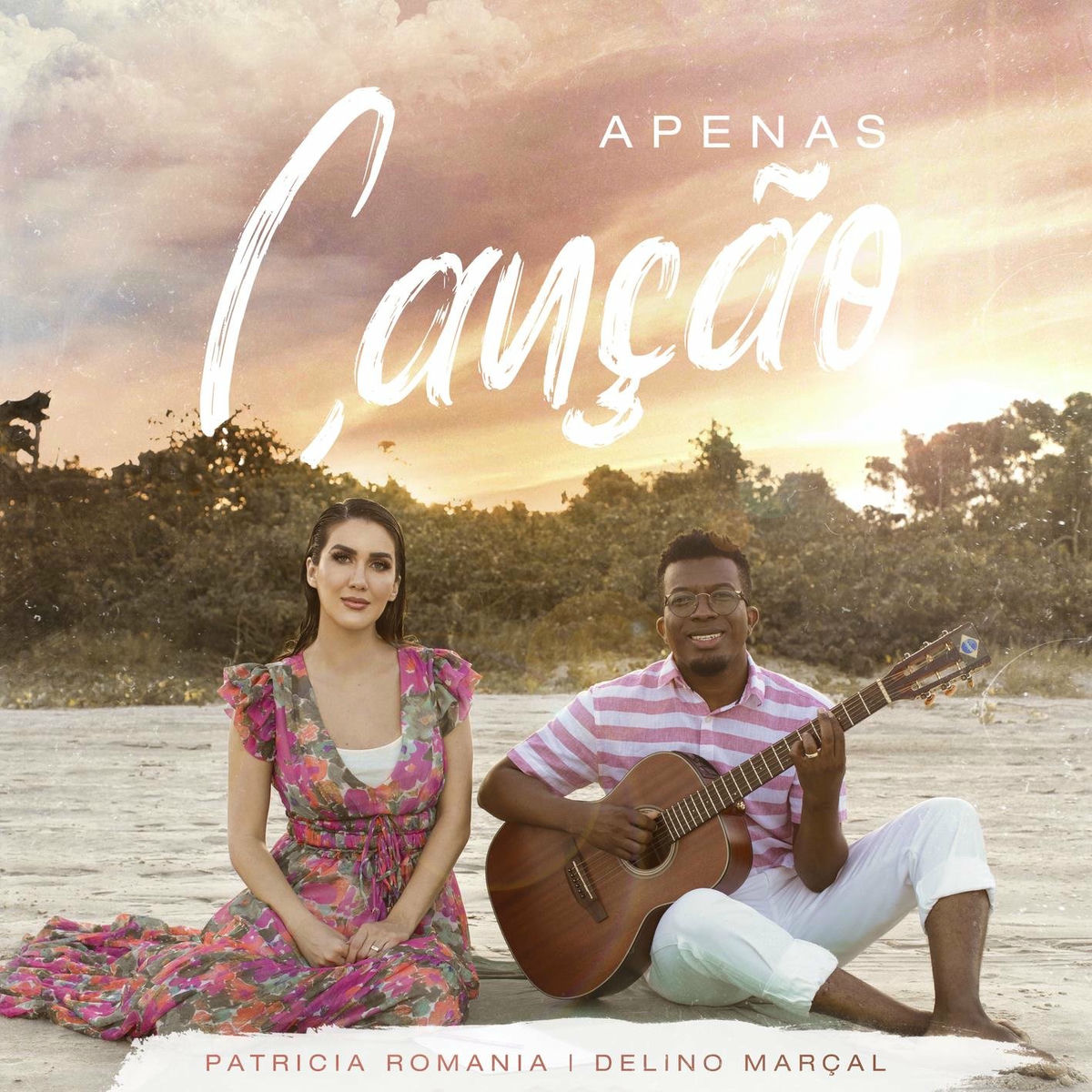 Album cover of Apenas Canção