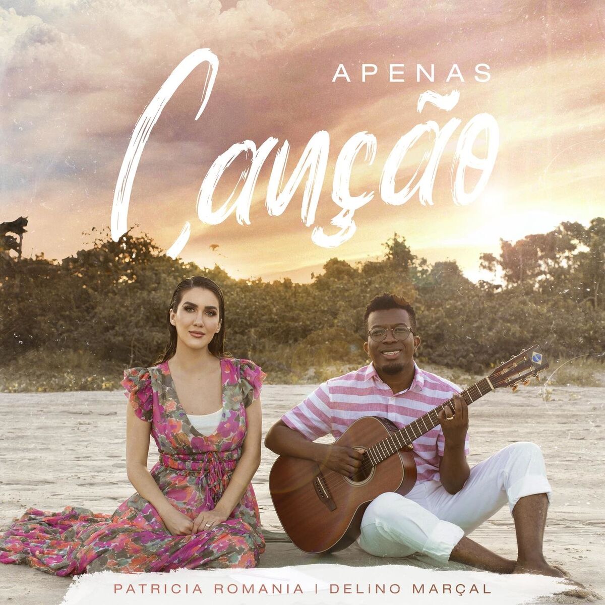 Album cover of Apenas Canção