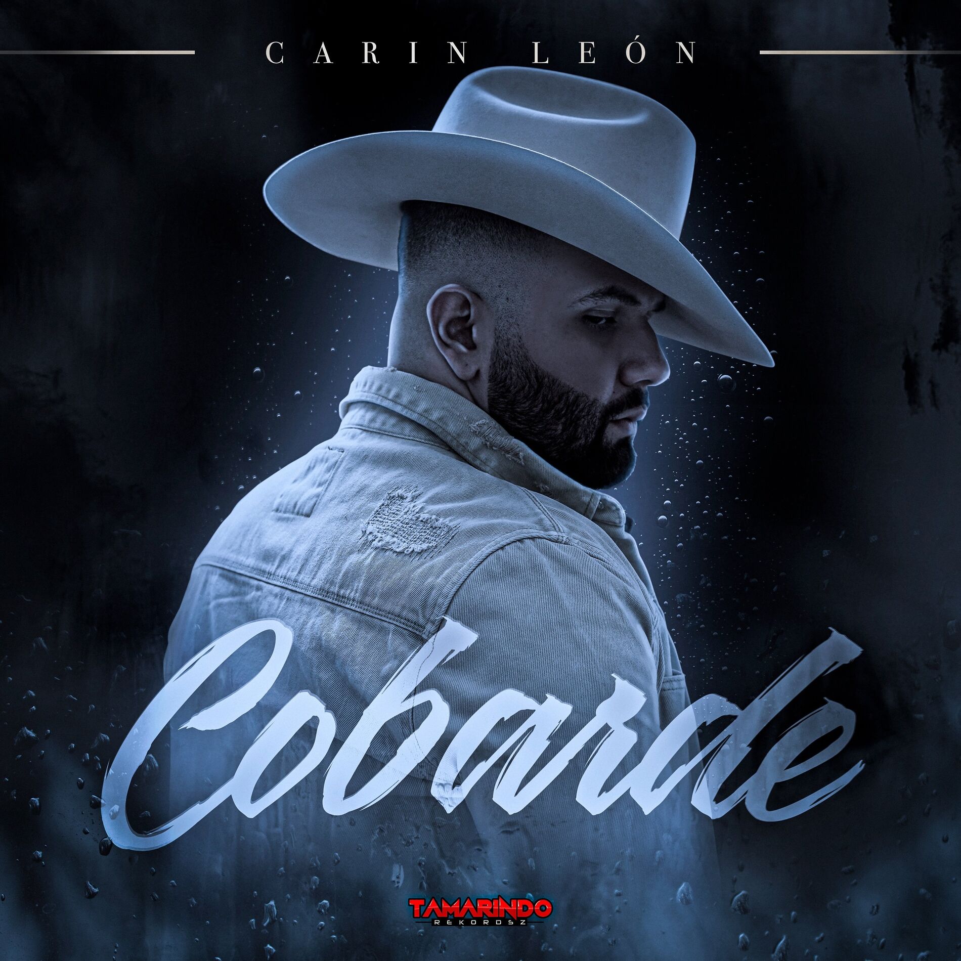 Album cover of Cobarde