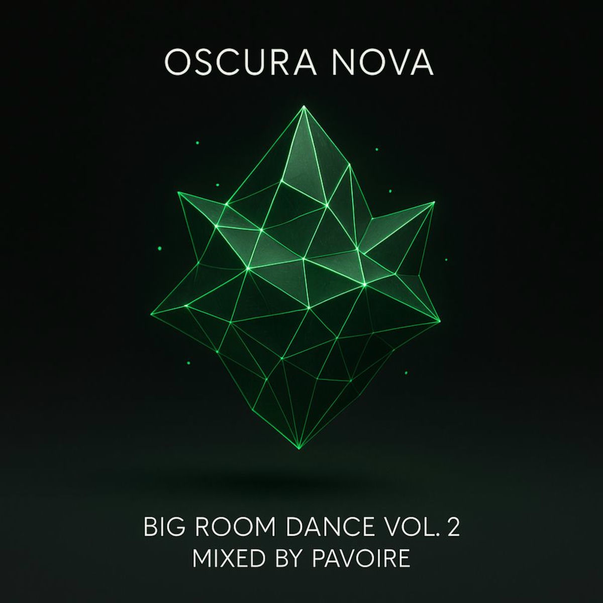 Album cover of Big Room Dance Vol. 2 (Mixed by Pavoire)