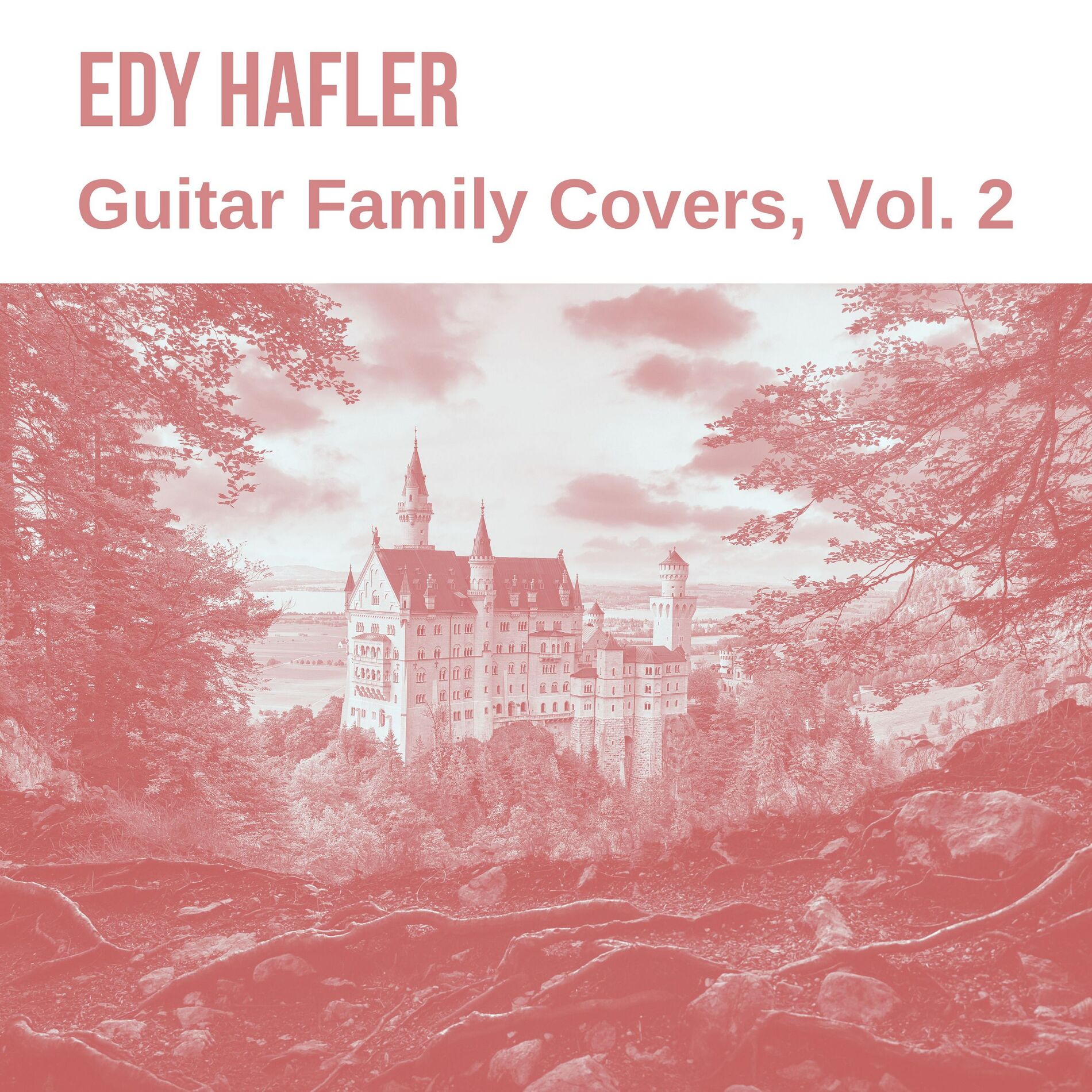 Album cover of Guitar Family Covers, Vol. 2