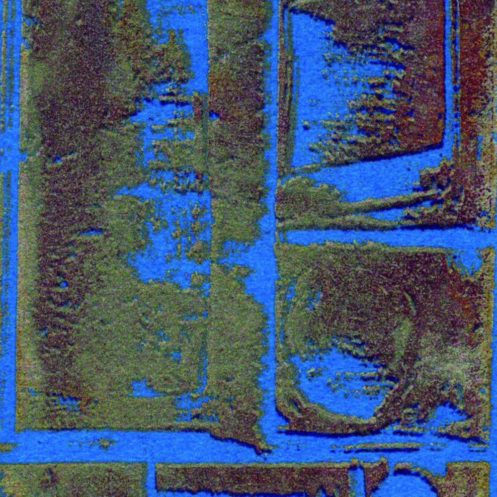 Album artwork for Mustela Erminea Nippon by Merzbow