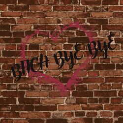 Cover of Bitch Bye Bye