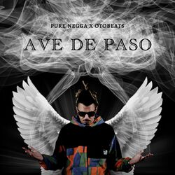 Cover of Ave de Paso