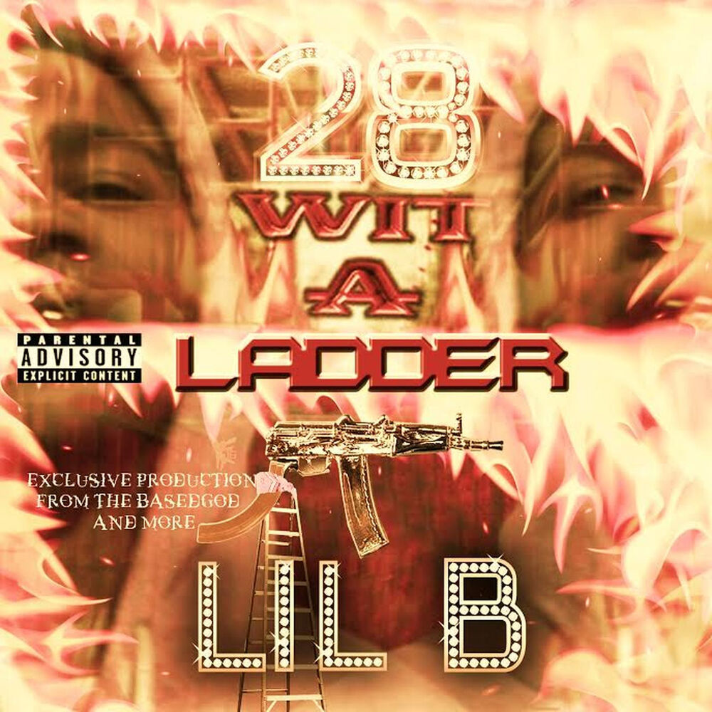 Picture of 28 Wit a Ladder