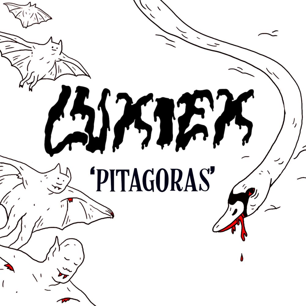 Picture of Pitagoras