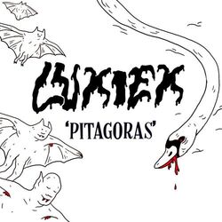Cover of Pitagoras