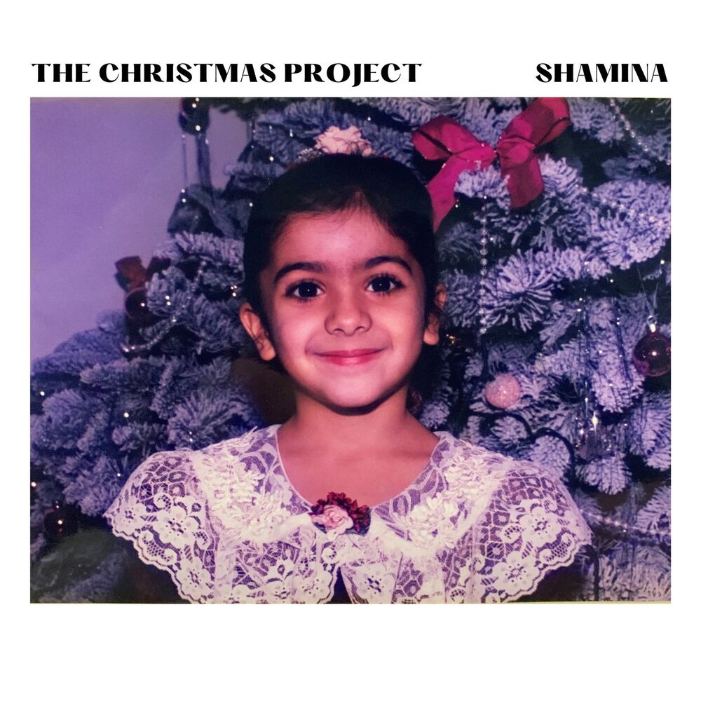 Picture of The Christmas Project
