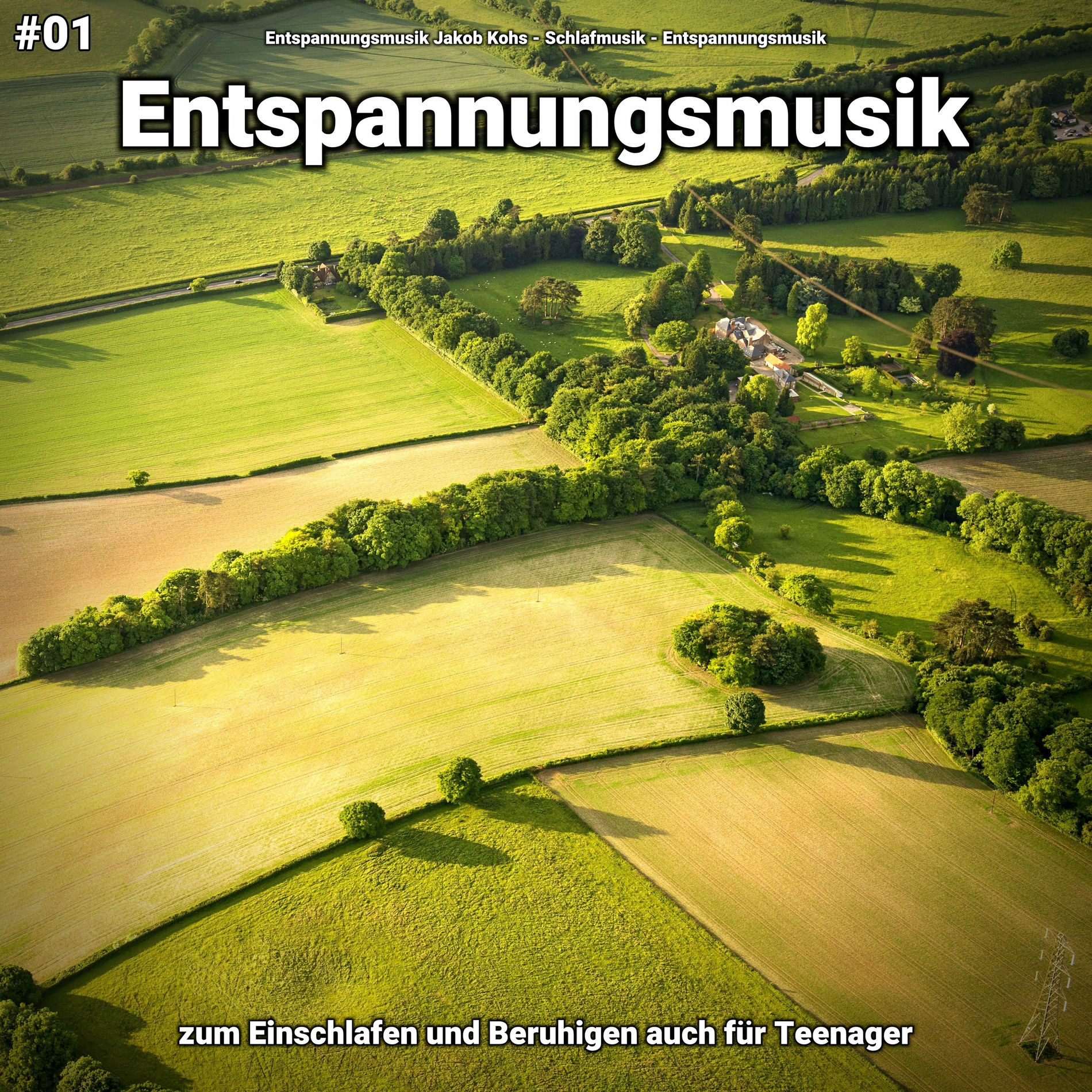 Album cover of #01 Entspannungsmusik zum Einschlafen und Beruhigen auch für Teenager