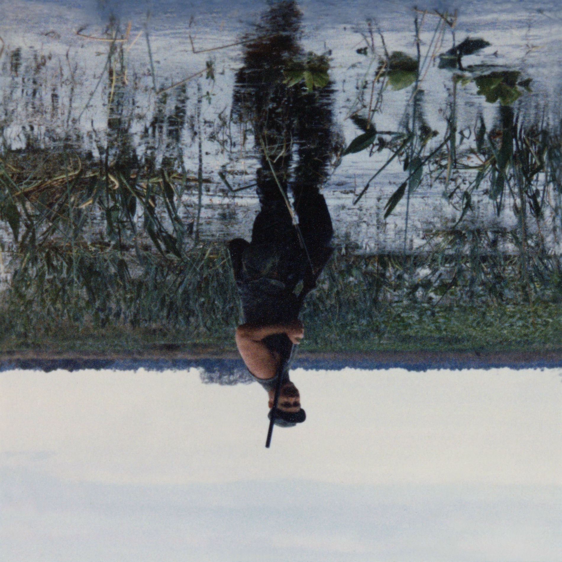 Album cover of Animal Drowning