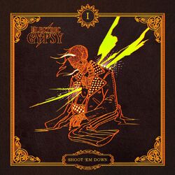 Cover of Shoot 'em Down