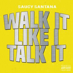 Cover of Walk It Like I Talk It