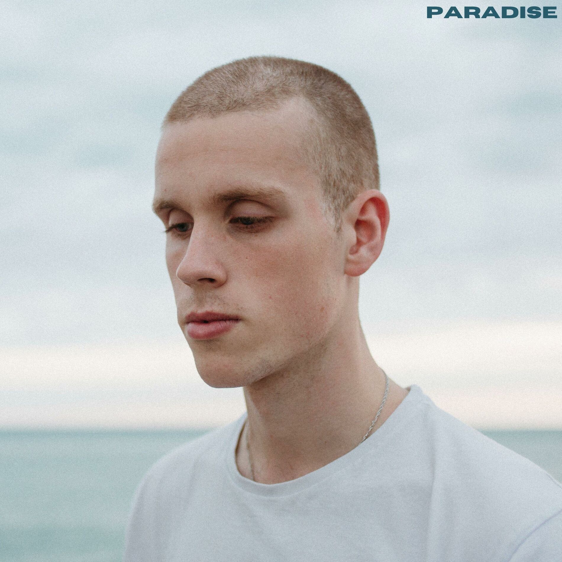 Album cover of Paradise