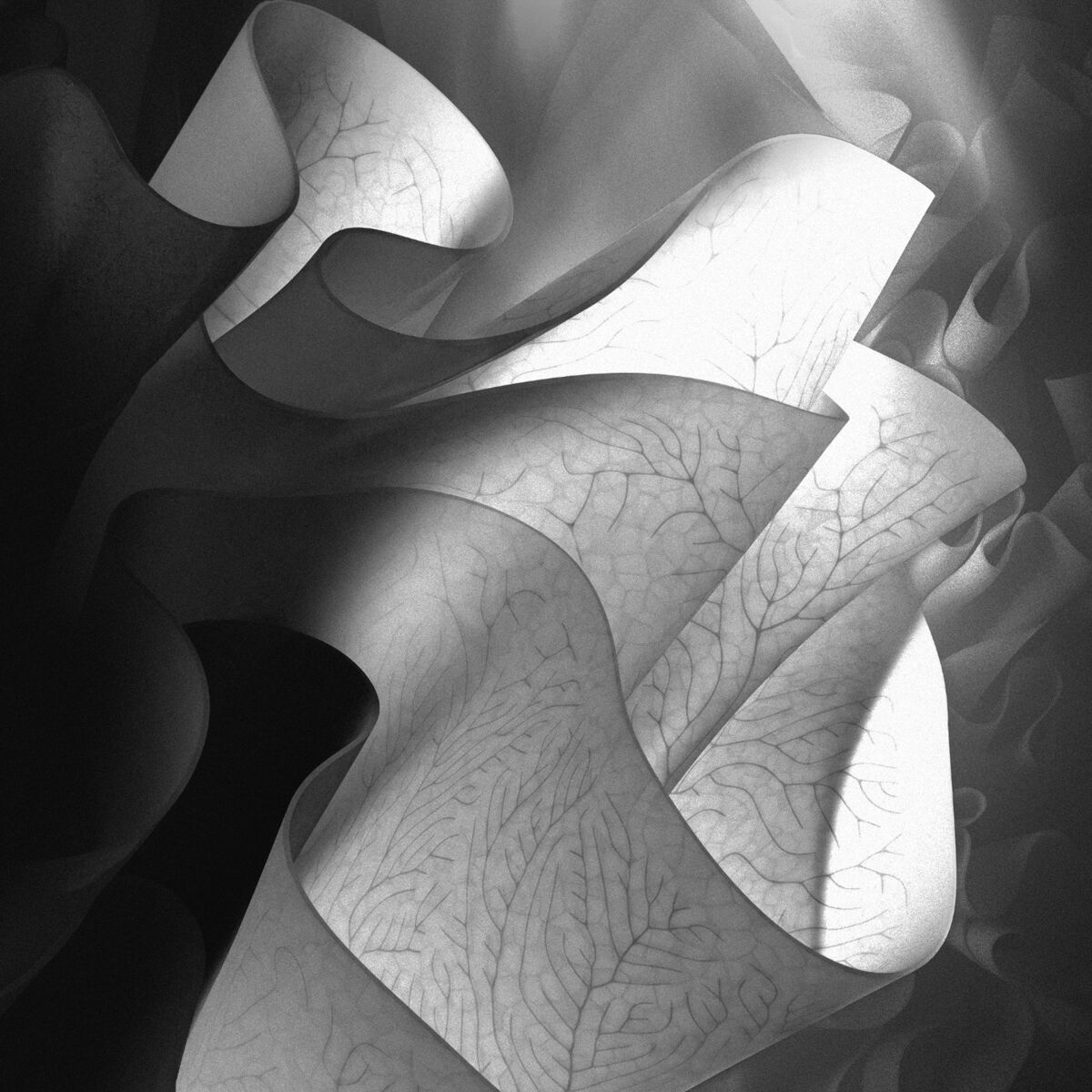 Album cover of Contrast - Dusk (Extended Versions)
