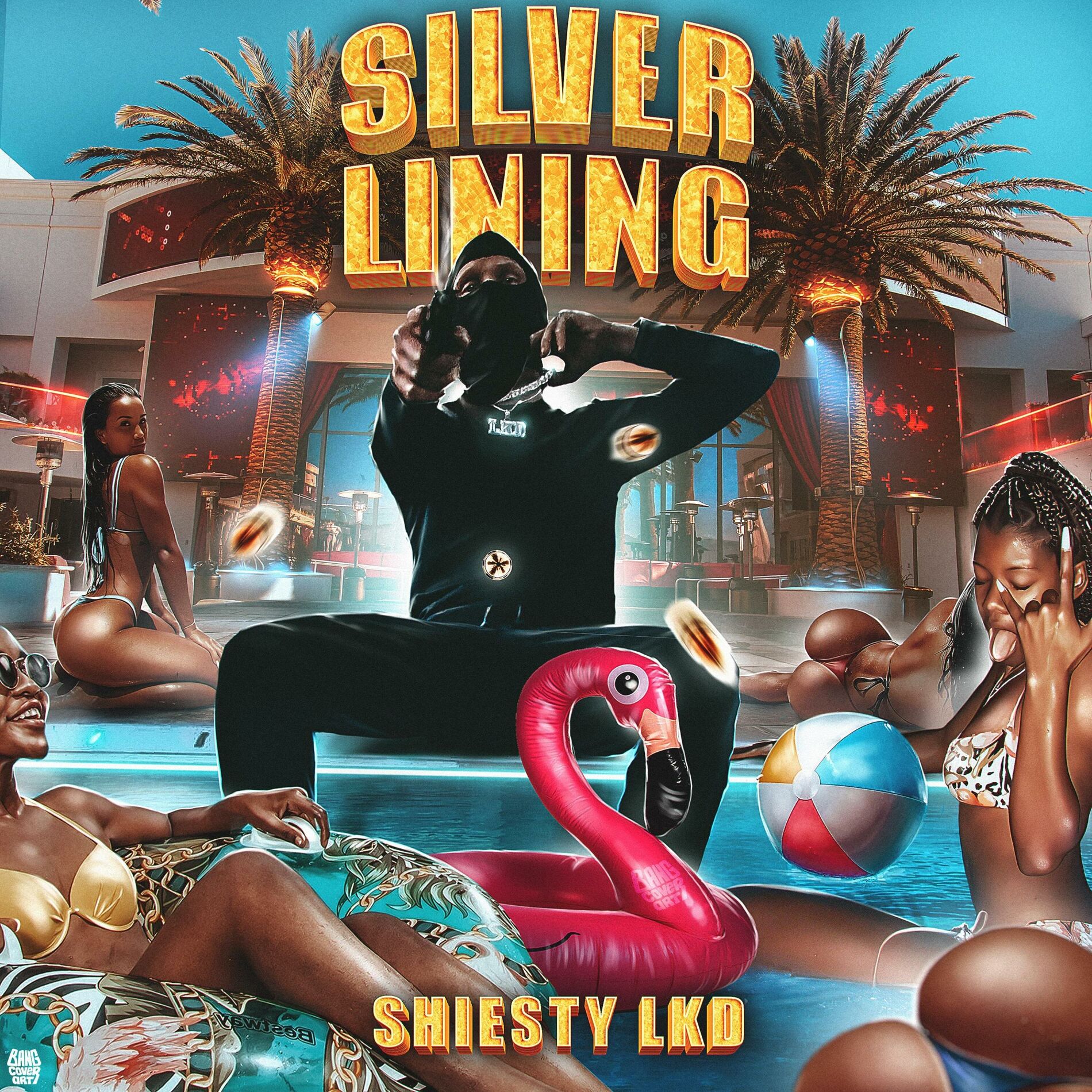 Album cover of Silver Lining (feat. Tommygunnz)