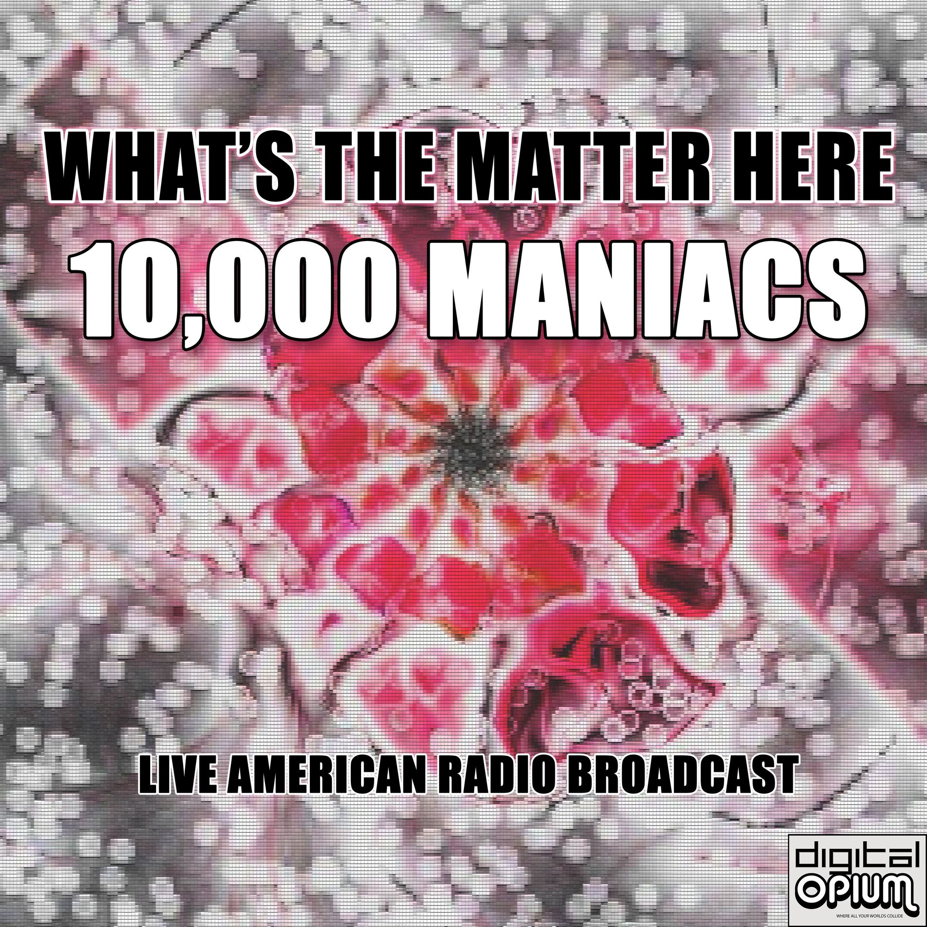 Album cover of What's the Matter Here (Live)