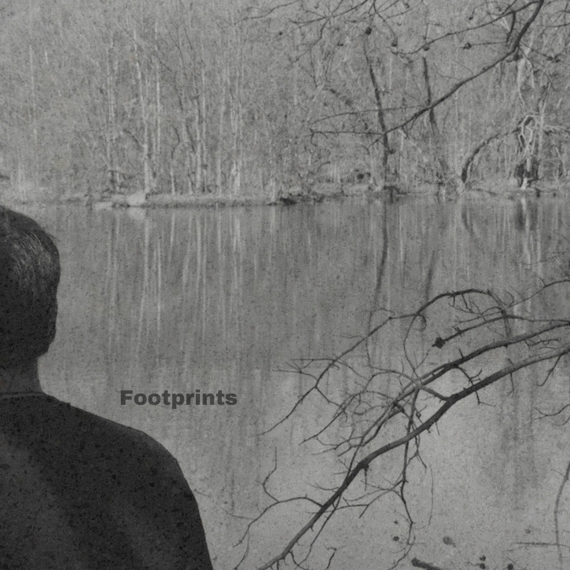 Album cover of Footprints