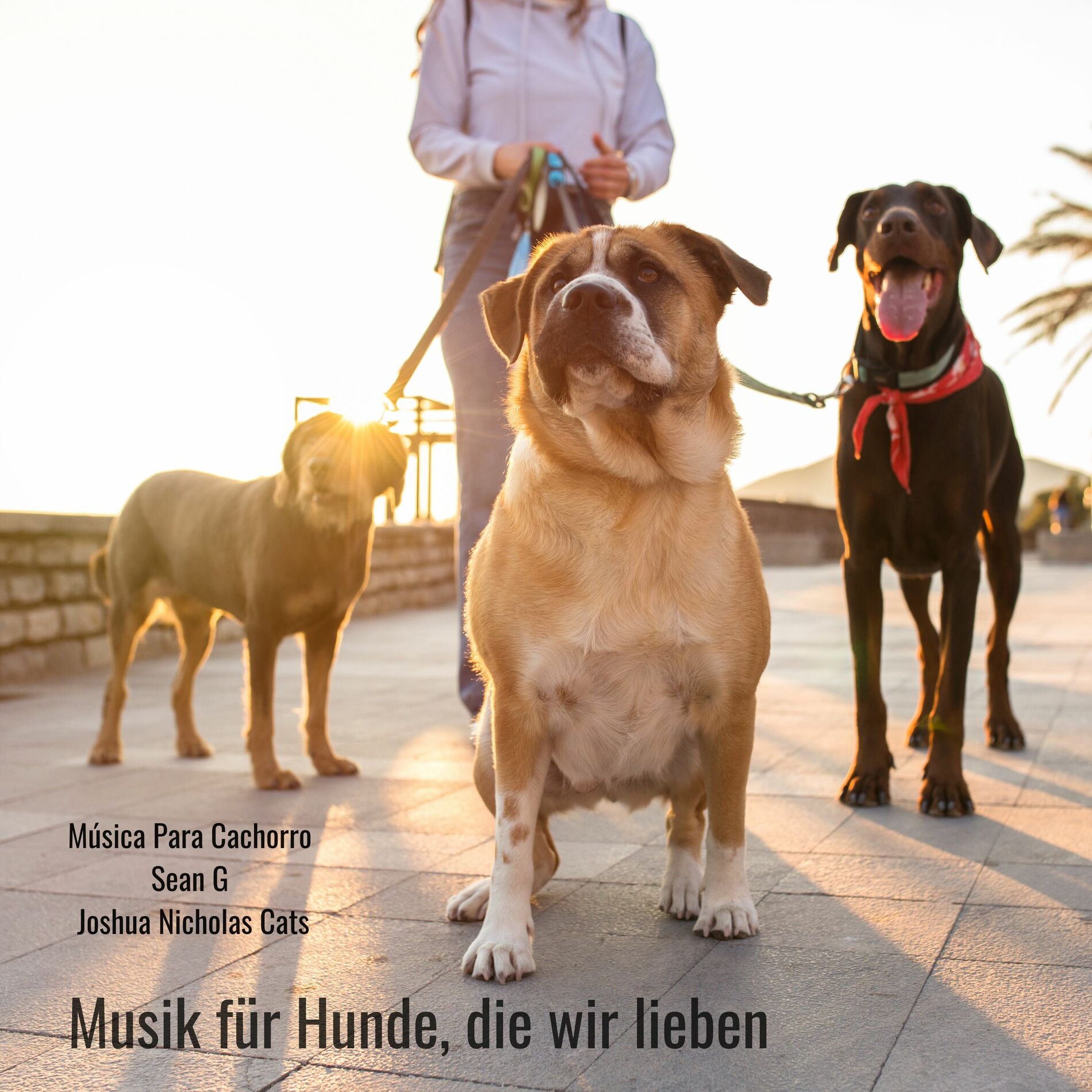 Album cover of Musik Für Hunde, Die Wir Lieben