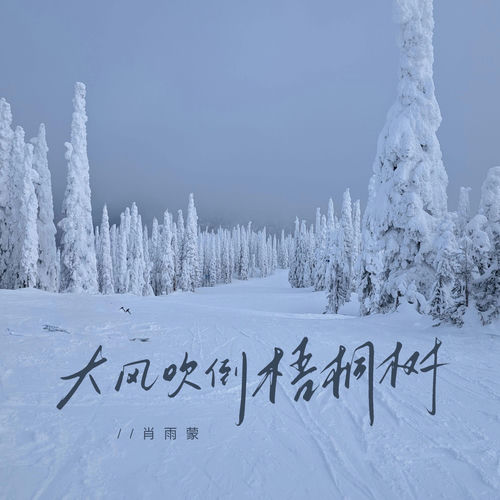 大风吹倒梧桐树