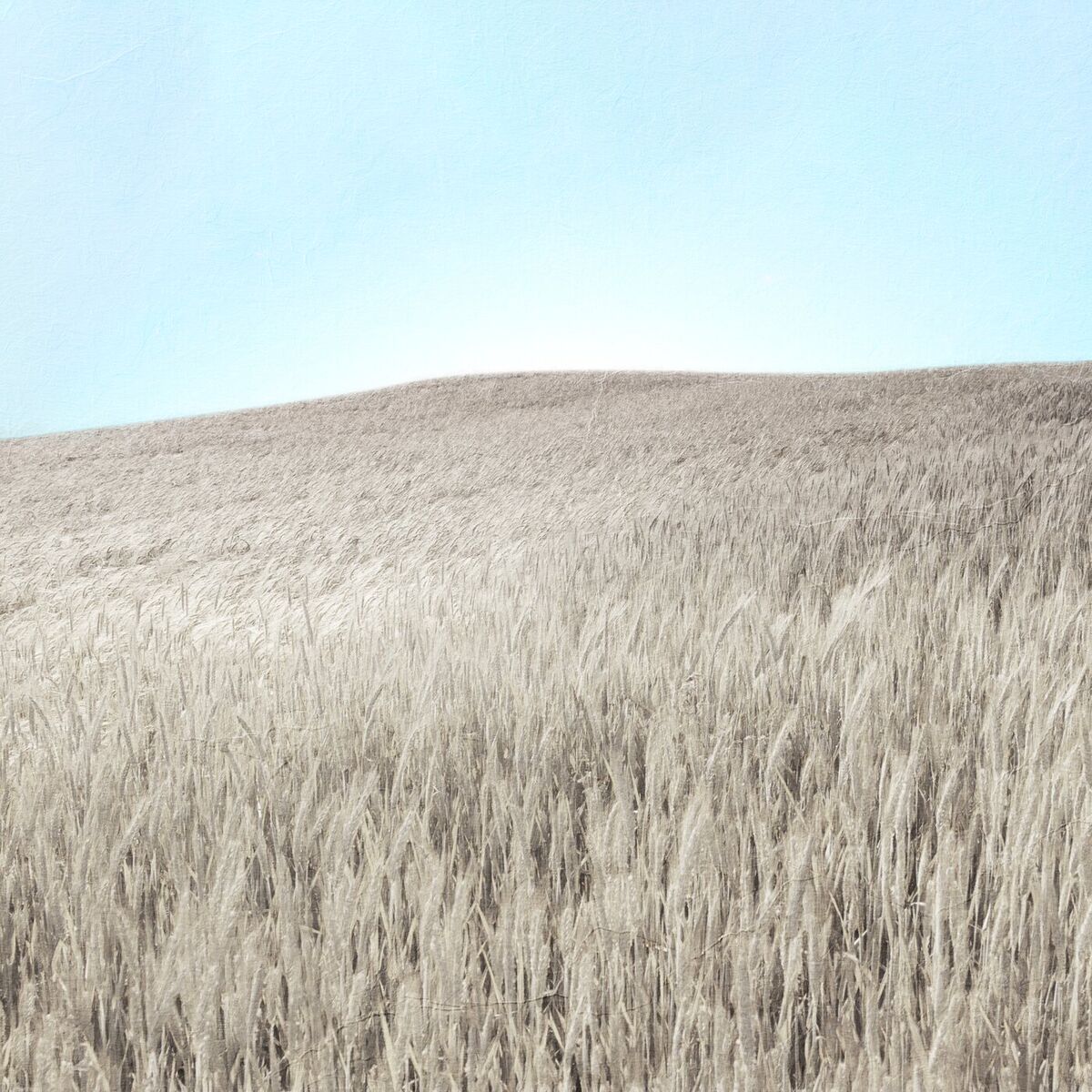 Album cover of Call On The Name (Live)