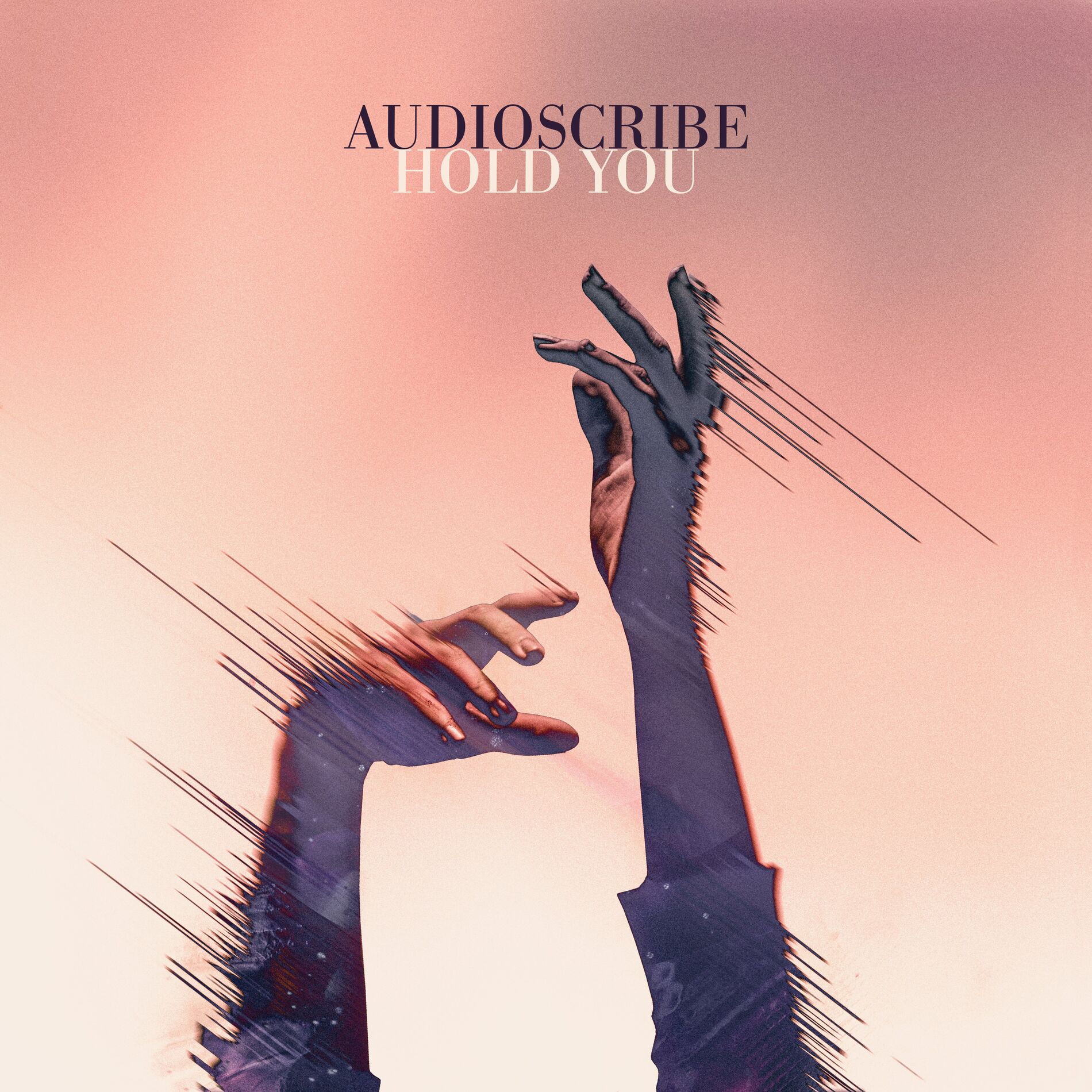 Album cover of Hold You