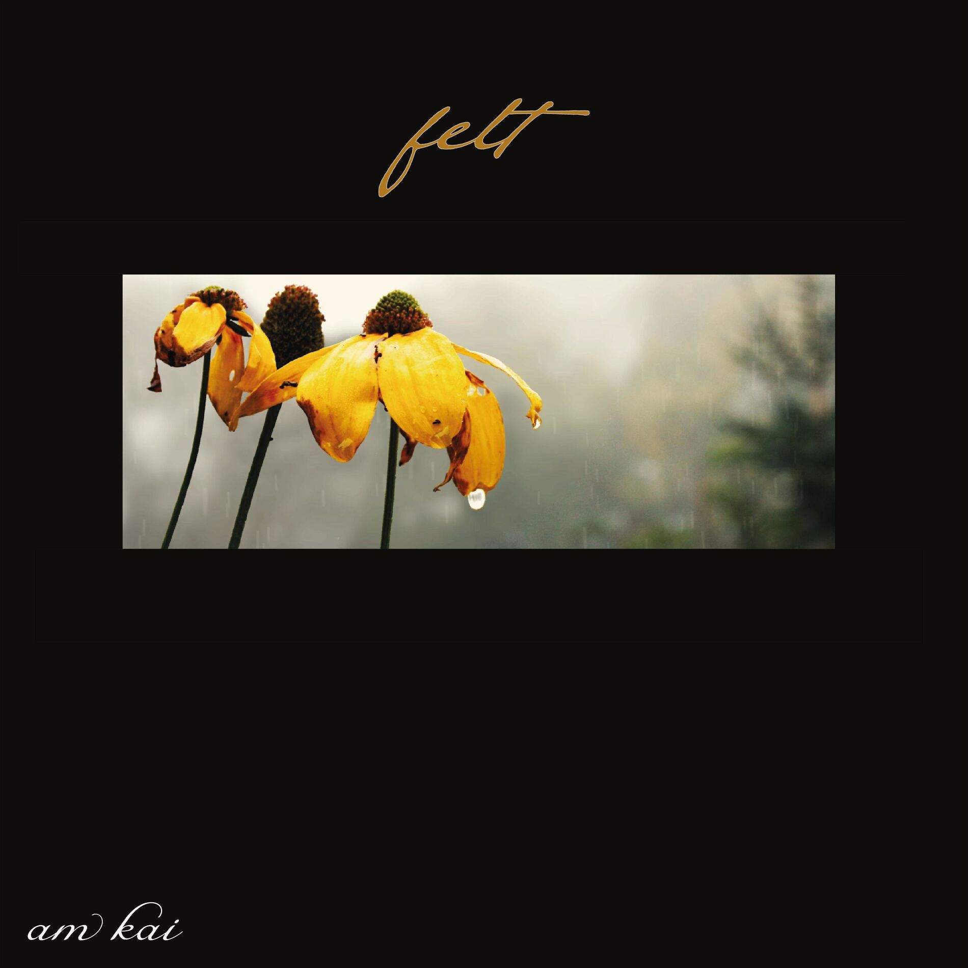 Album cover of felt