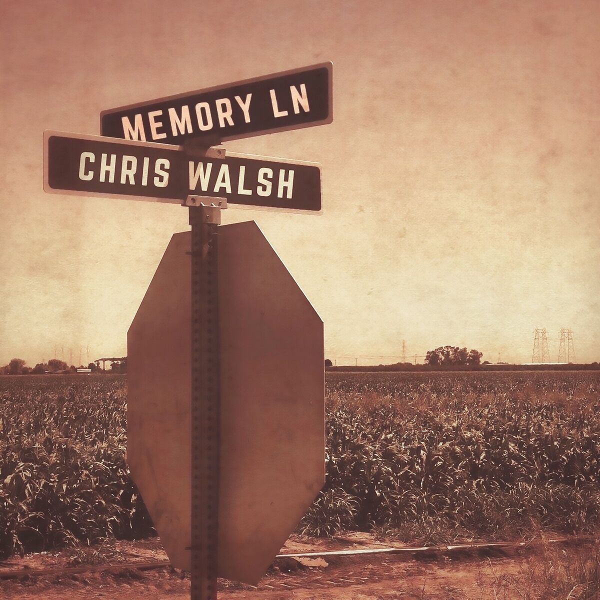 Album cover of Memory Lane
