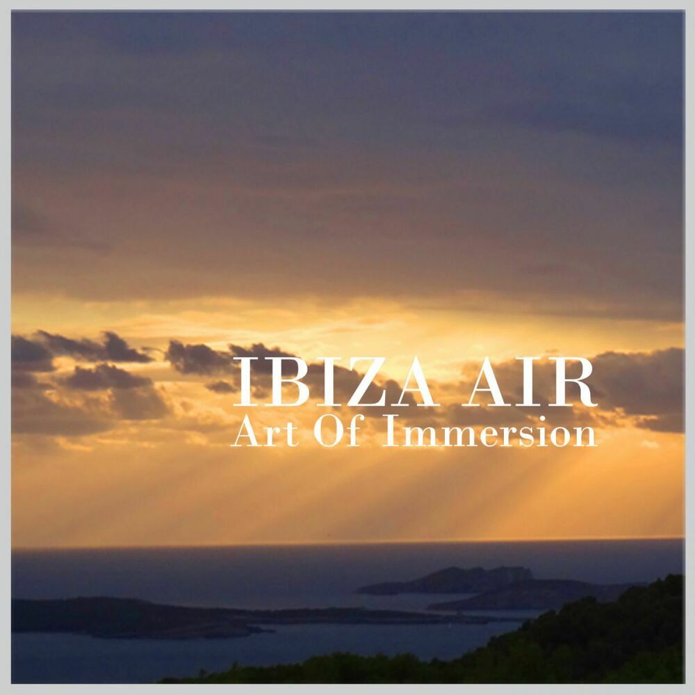 Picture of Art Of Immersion